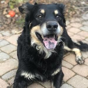 Meet your Posher, Alexander